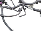 ENCORE    2016 Lamp Wiring Harness 580768