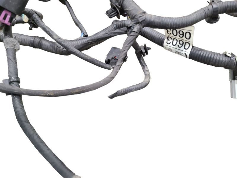 ENCORE    2016 Lamp Wiring Harness 580768
