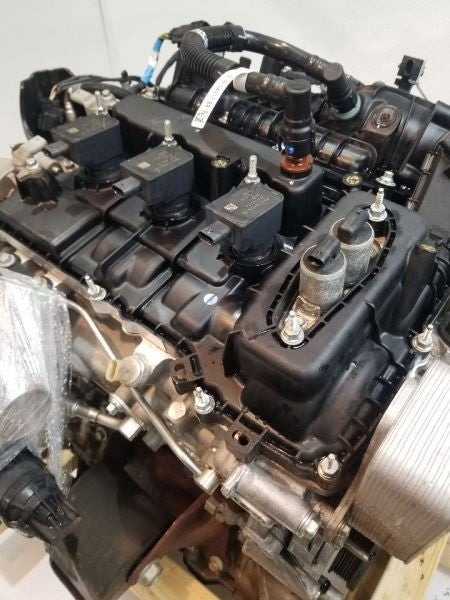 F150      2021 Engine 558738