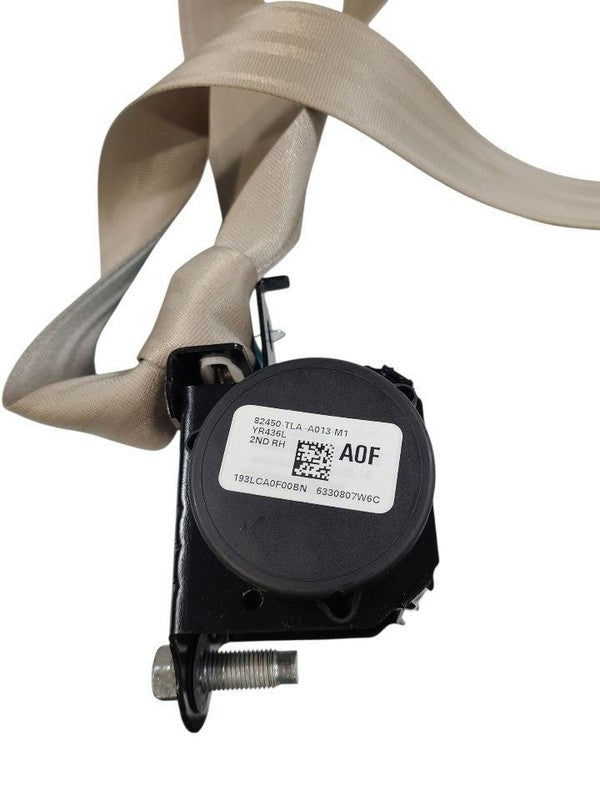 CR-V      2019 Seat Belt Rear 650185