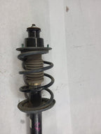 Strut Rear With Electronic Damper Control Fits 05-06 PORSCHE BOXSTER 6