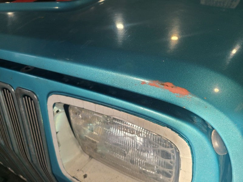 Hood Fits 87-95 WRANGLER 653036