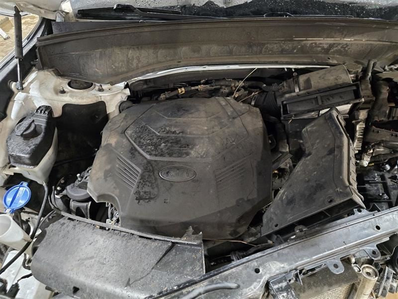 Driver Rear Side Door Privacy Fits 20 TELLURIDE 601505