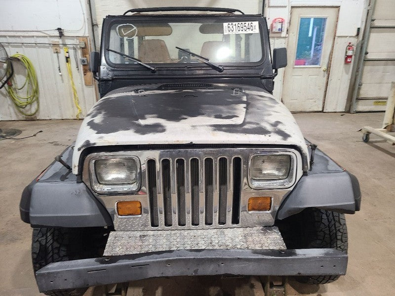 Hood Fits 87-95 WRANGLER 676909