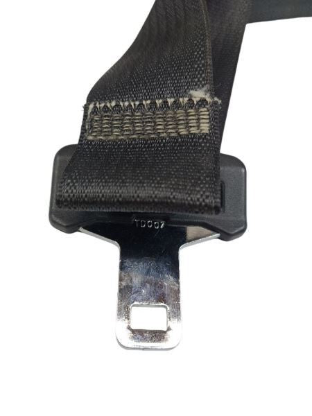 CARAVAN   2009 Seat Belt Rear 599166