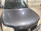 Hood Base Fits 06-09 TORRENT 666206