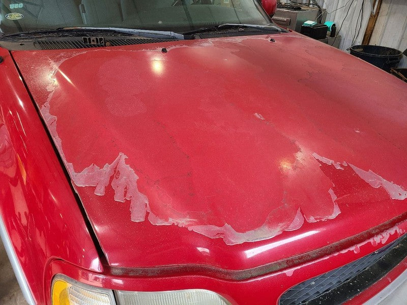 Hood Fits 97-98 EXPEDITION 666795