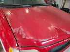 Hood Fits 97-98 EXPEDITION 666795