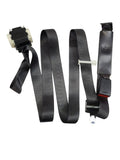 SIEDENALI 2010 Seat Belt Rear 613151