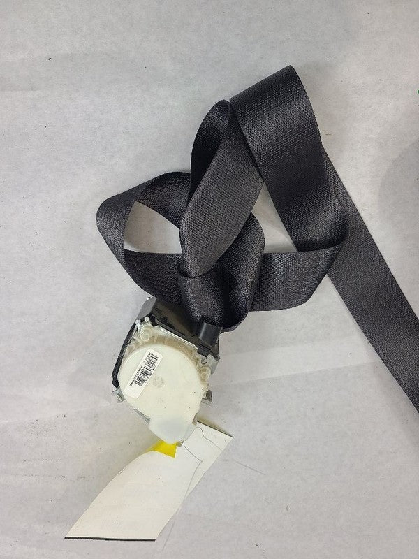 SIERRA250 2011 Seat Belt Rear 611845