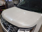 Hood Fits 16-19 EXPLORER 666128