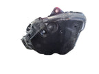 Fuel Tank 11.3 Gallon Fits 16-22 PRIUS 678605