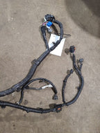 OUTLANDER 2020 Engine Wire Harness 619587