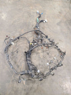 SEQUOIA   2005 Engine Wire Harness 664287