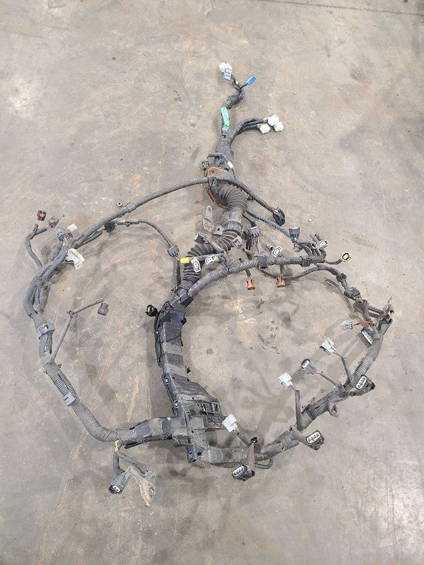 SEQUOIA   2005 Engine Wire Harness 664287