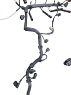 JETTA     2014 Engine Wire Harness 628005
