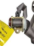 SEQUOIA   2002 Seat Belt Rear 613743