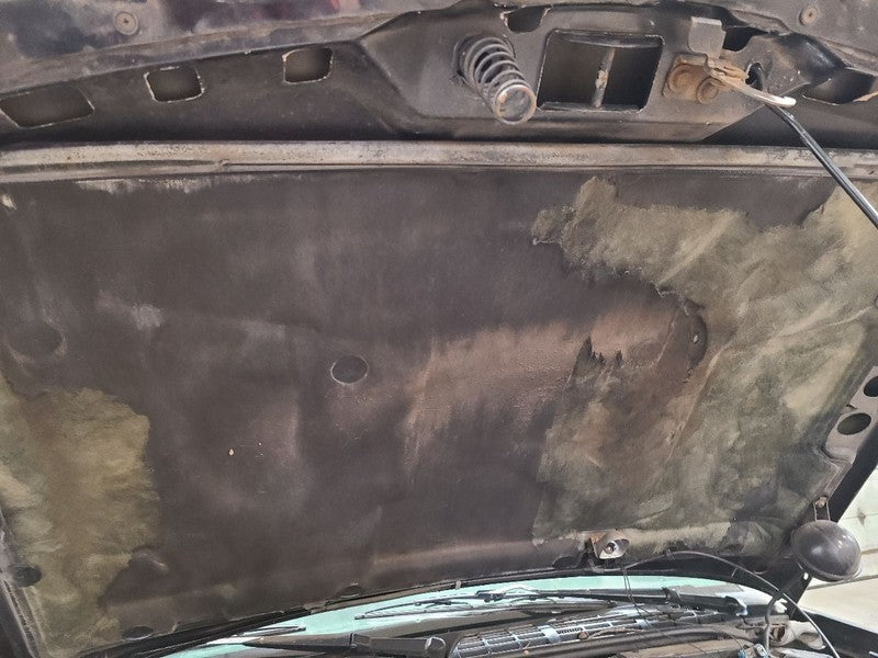 Hood Chevrolet Fits 95-05 BLAZER S10/JIMMY S15 664752