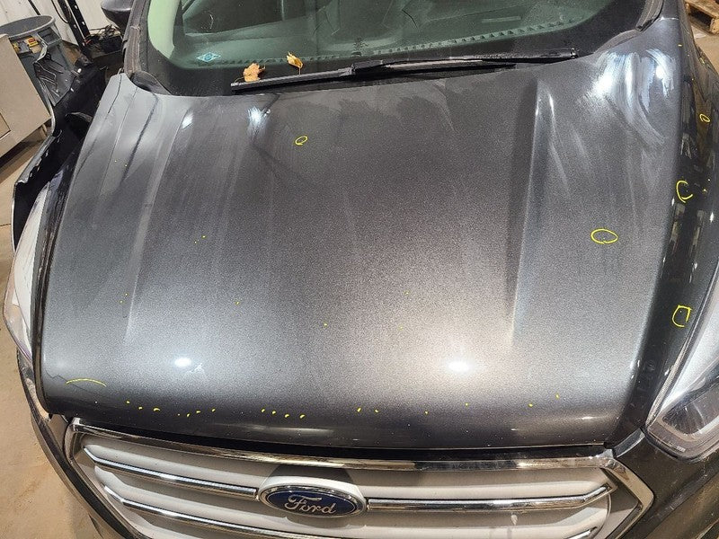 Hood Fits 17-19 ESCAPE 650370