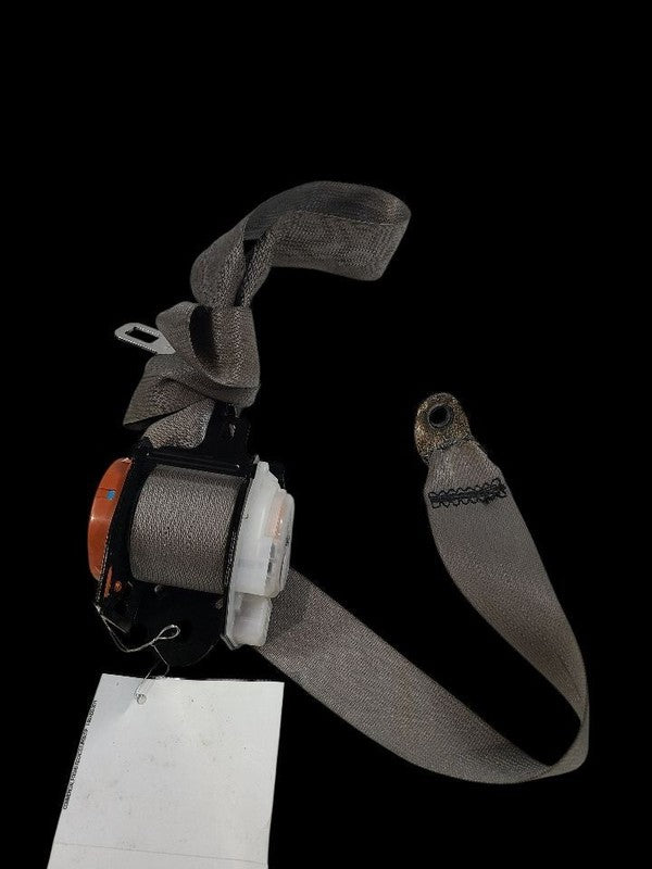 QUEST     2012 Seat Belt Rear 652016
