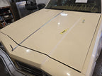 Hood Fits 77-79 OLDSMOBILE 647875