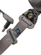 SEQUOIA   2005 Seat Belt Rear 664241