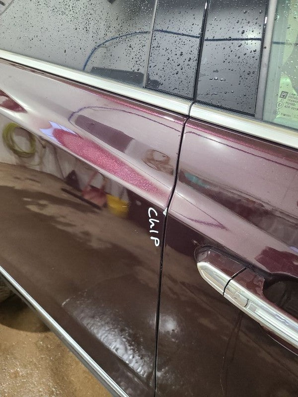 Passenger Right Rear Side Door Fits 17-24 XT5 662596