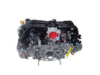 OUTBAKLEG 2024 Engine 608506