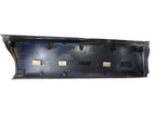 4 RUNNER  2007 Door Moulding Front 680113