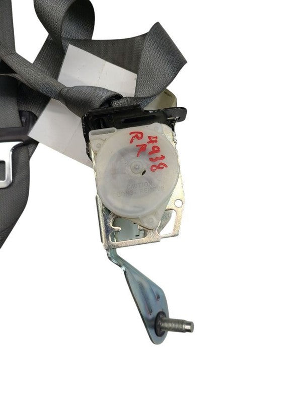 ACCORD    2011 Seat Belt Rear 617779