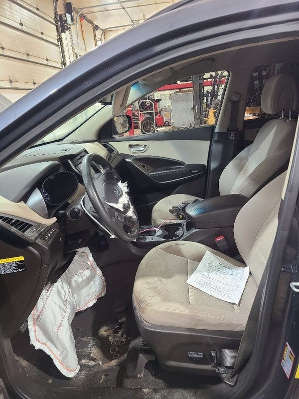Passenger Right Front Door LWB Fits 15-19 SANTA FE 604344