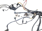 X5        2016 Engine Wire Harness 656318