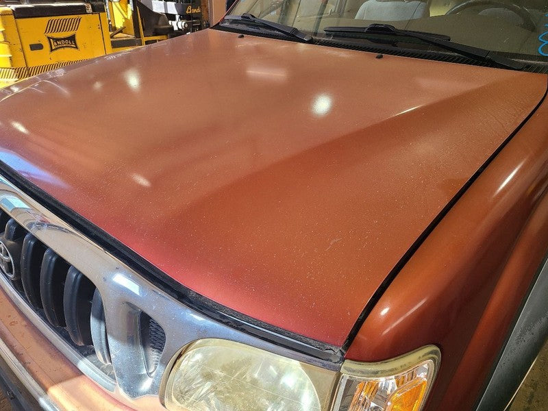 Hood Fits 01-04 TACOMA 680254