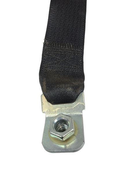 CARAVAN   2009 Seat Belt Rear 599166