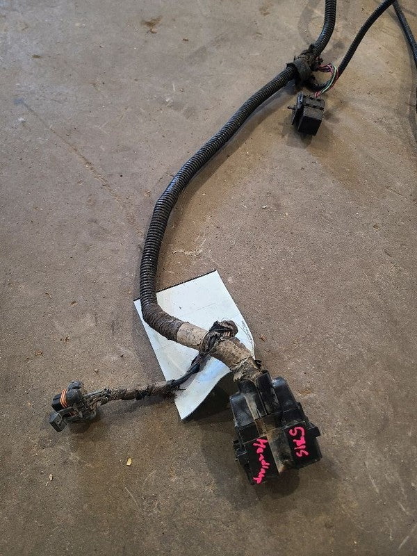 GRAND-WAG 1991 Lamp Wiring Harness 679047