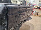 Trunk/Hatch/Tailgate Platinum Fits 21-23 FORD F150 PICKUP 680765
