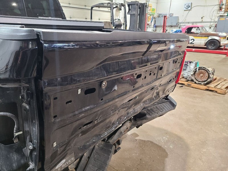Trunk/Hatch/Tailgate Platinum Fits 21-23 FORD F150 PICKUP 680765