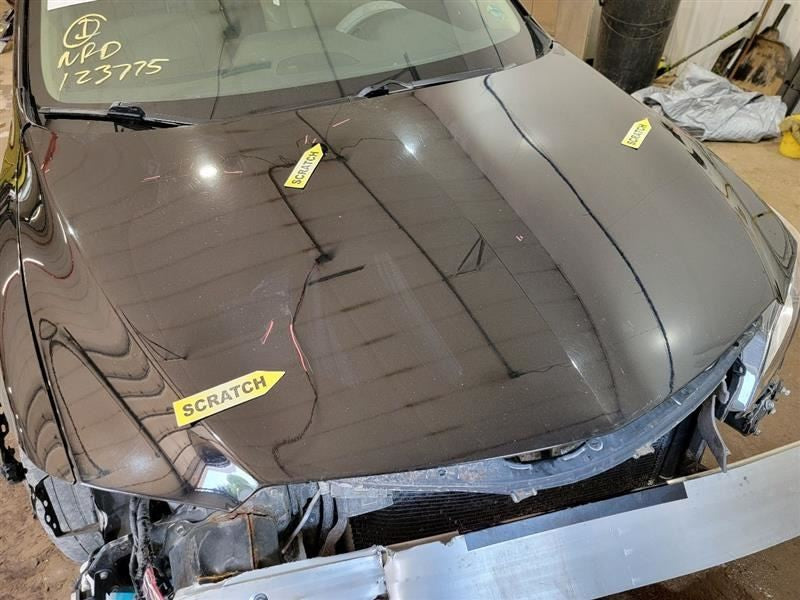 Hood Fits 13-15 ILX 548121
