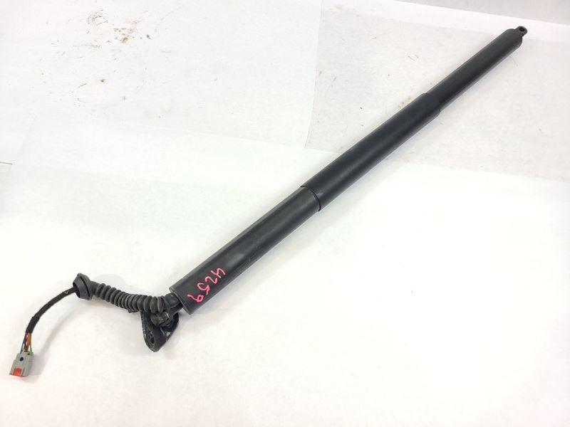 MKC       2017 Hatchback Strut 559734