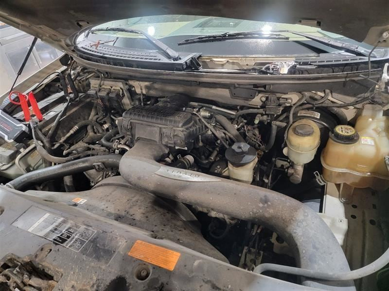 Trunk/Hatch/Tailgate Styleside Box Fits 04-07 FORD F150 PICKUP 356213