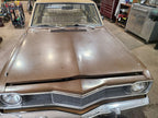 Hood Fits 73-76 DART 668120