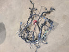 TAURUS    2012 Engine Wire Harness 597437