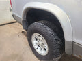 Rear Passenger Fender Flare/Extension Fits 1999 DAKOTA 666426