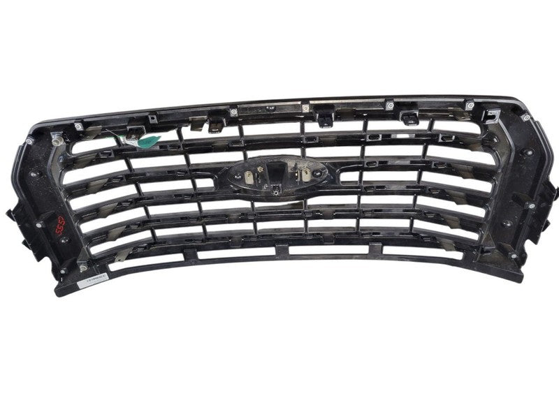 Grille Center XL 5 Painted Bars Fits 15-17 FORD F150 PICKUP 669320