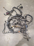 DAKOTA    2002 Engine Wire Harness 663313