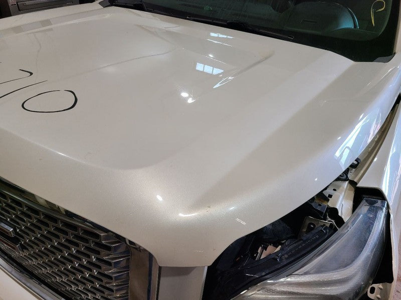 Hood Fits 15-20 YUKON 669645