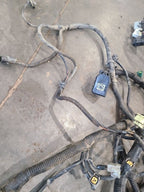 RAM1500   2001 Engine Wire Harness 667088