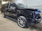 Seat Belt Front Bucket And Bench Driver Fits 10 AVALANCHE 1500 645248