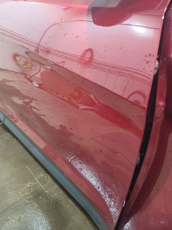 Passenger Right Front Door LWB Fits 15-19 SANTA FE 652643