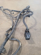 RAM3500   2019 Body Wire Harness 669530